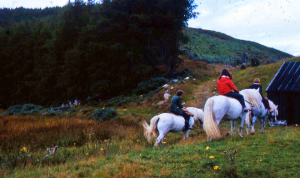 Pony Trekking