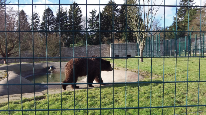 Camperdown Wildlife Centre