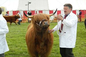 Agricultural Shows